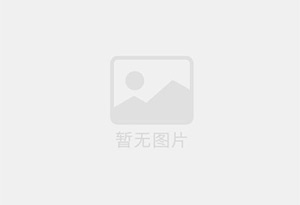 冻肉用鸡爪